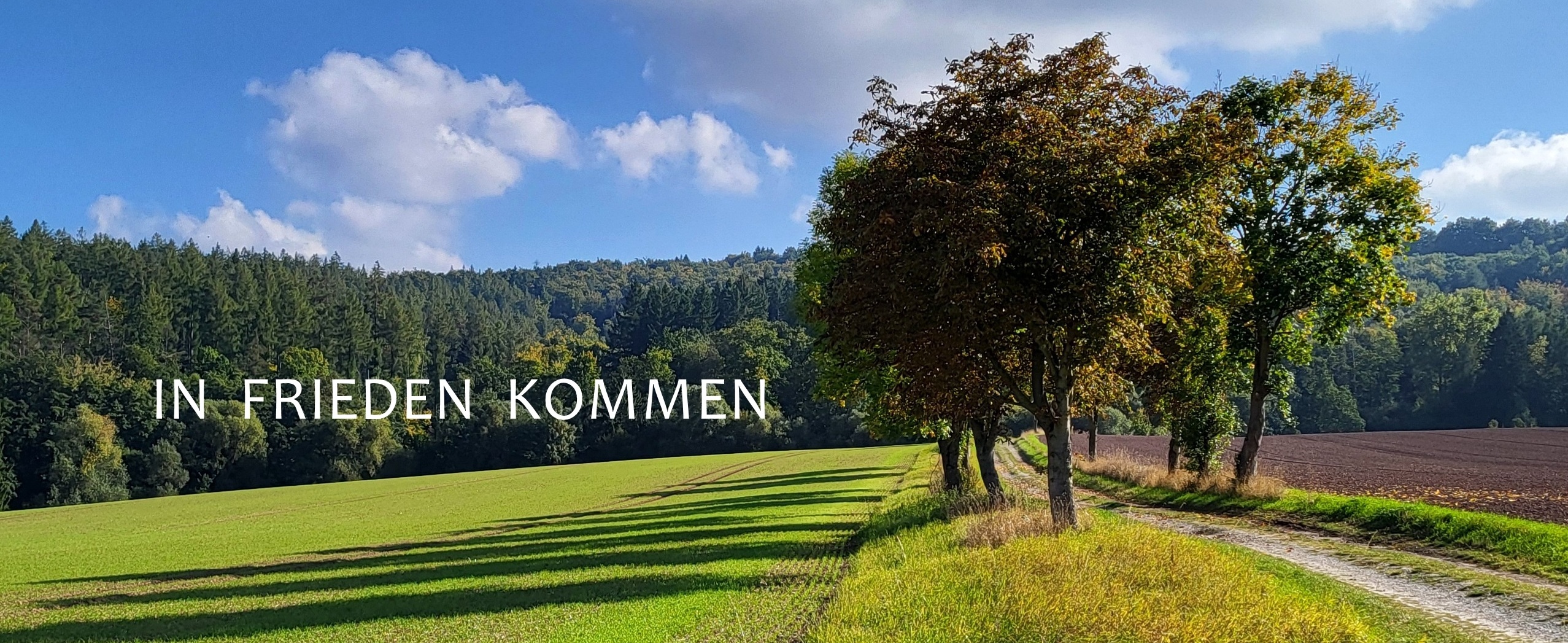 In Frieden kommen