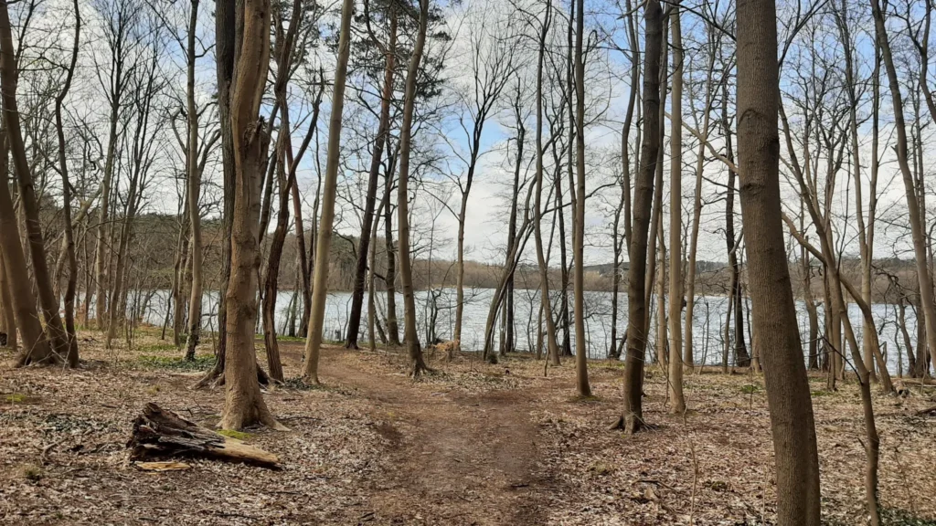 22 04 10 Weg 1024x576